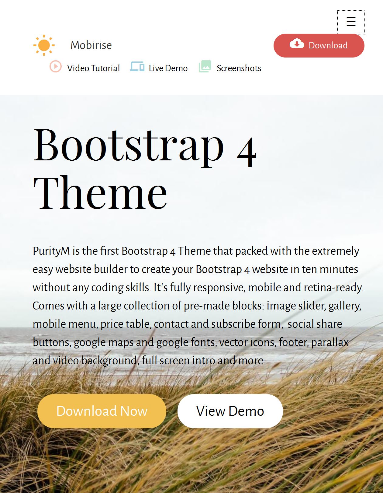 Cards Free Template Bootstrap