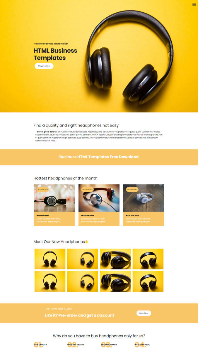 30-best-great-professional-website-templates-collection