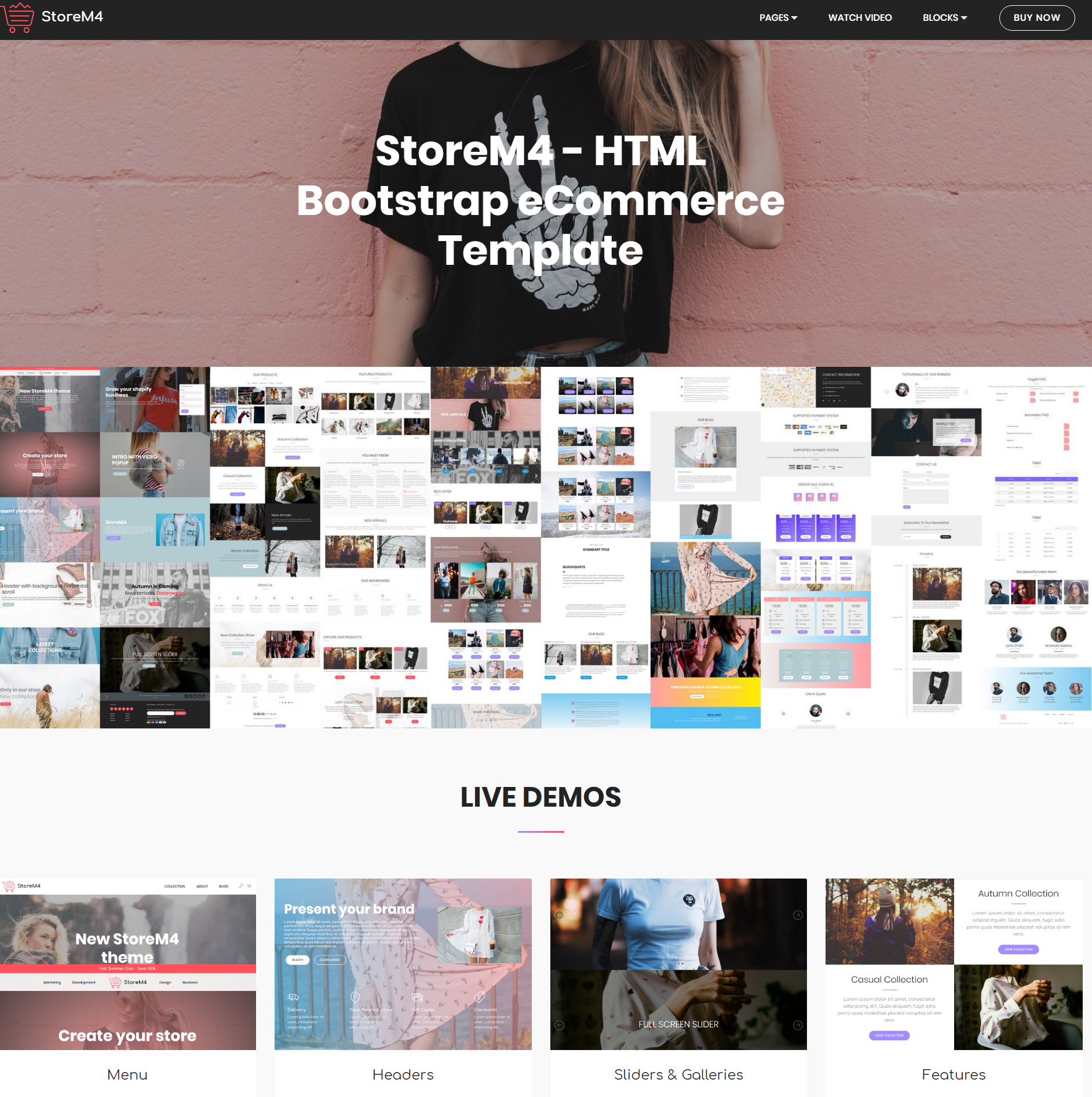 HTML Bootstrap Storem4 Themes